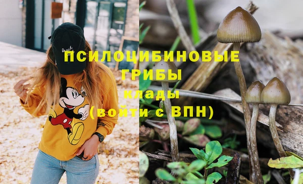 ALPHA PVP Новодвинск
