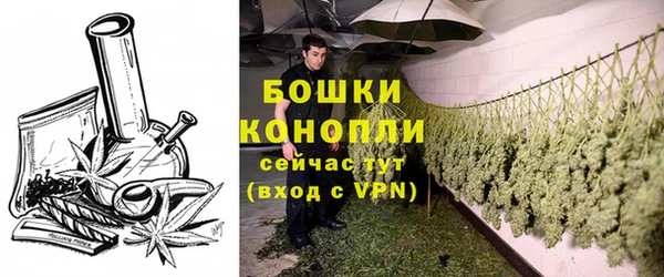 ALPHA PVP Новодвинск