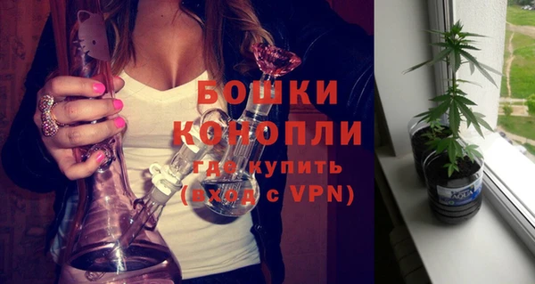 мдма Новозыбков