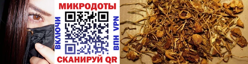 Псилоцибиновые грибы MAGIC MUSHROOMS  Кириши 