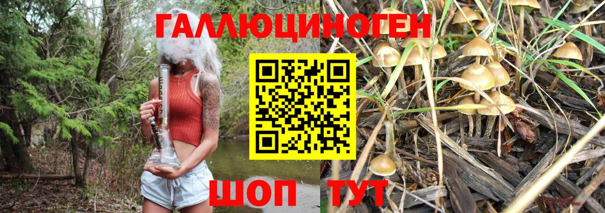 Галлюциногенные грибы GOLDEN TEACHER  Кириши 