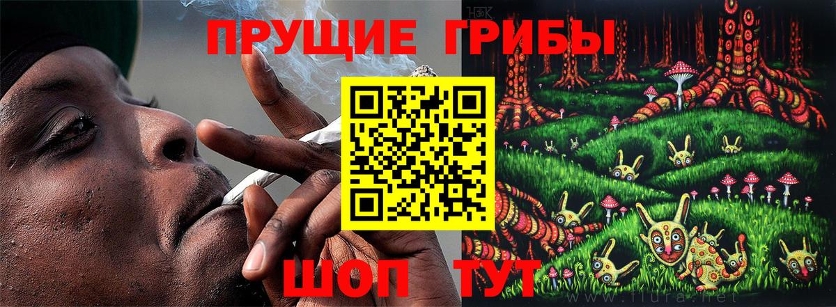 ГАШ Кириши