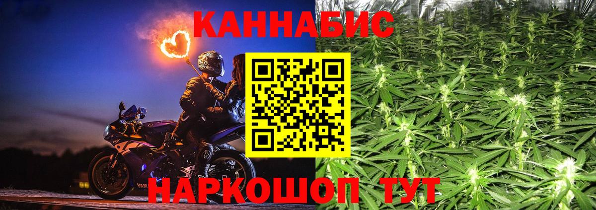 МАРИХУАНА Ganja  Канабис индика  Кириши 